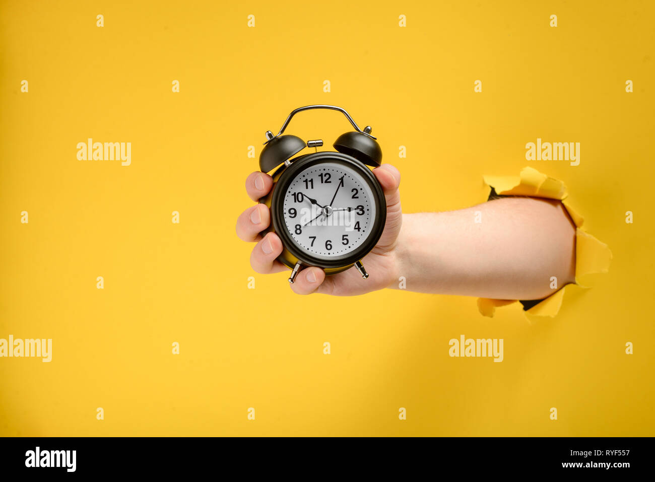 Hand holding an alarm clock Stock Photo Alamy