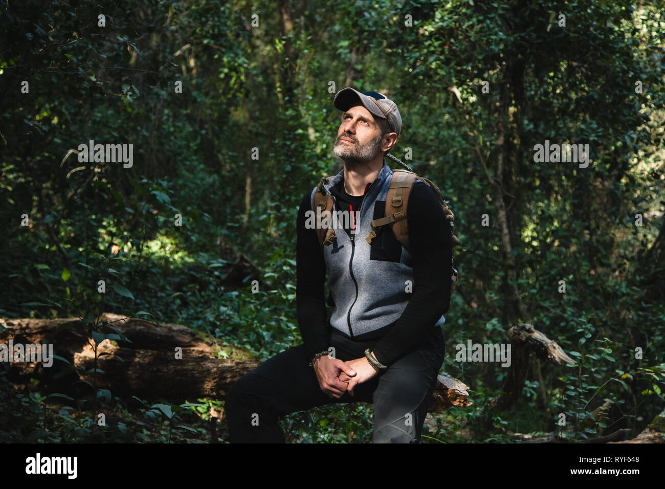 Man sitting on a trunk of a tree with backpack in a green wild forest relaxing and enjoying the sunlight Stock Photo