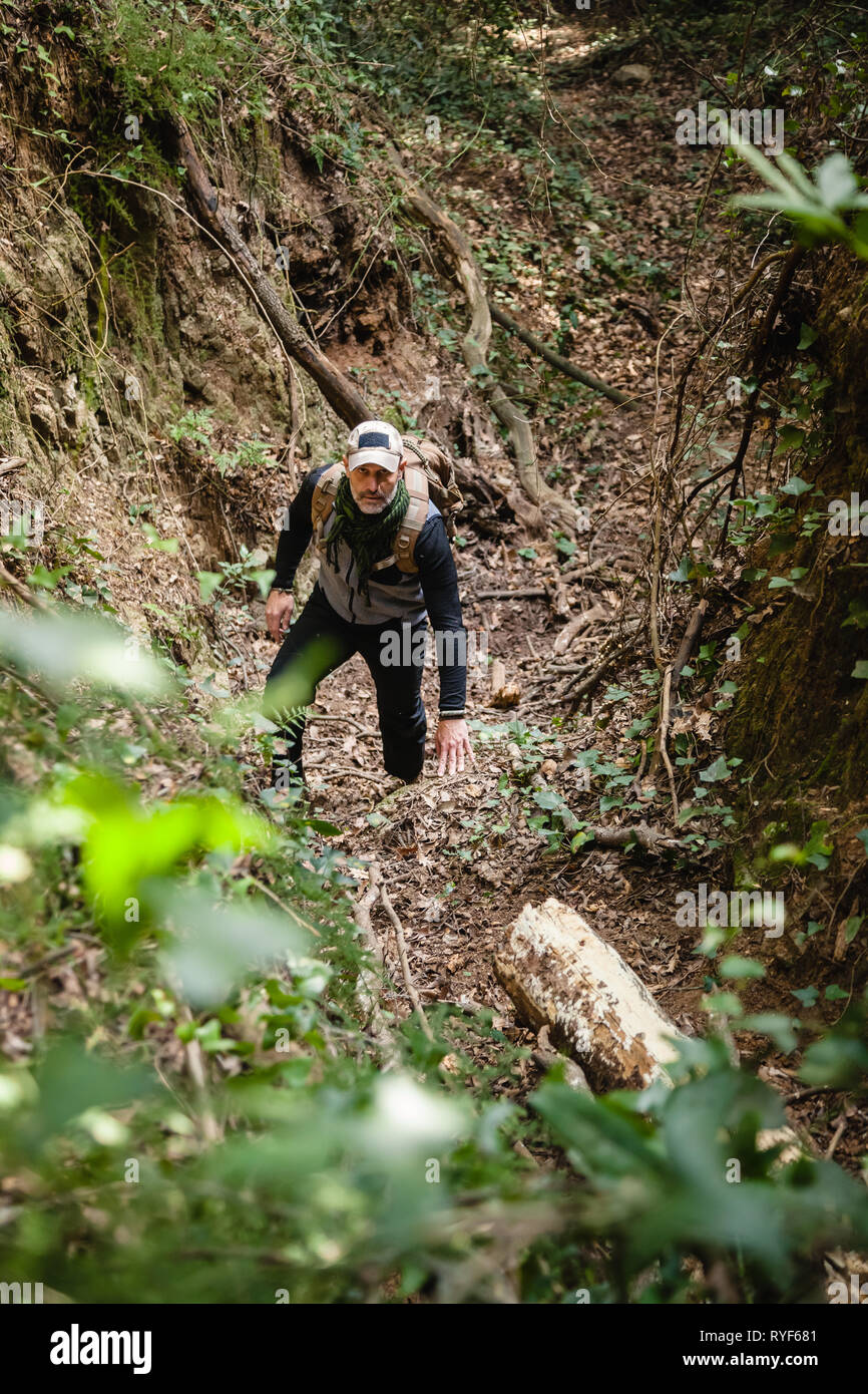 Front view of hiker in a forest climbing up and looking to the camera Stock Photo