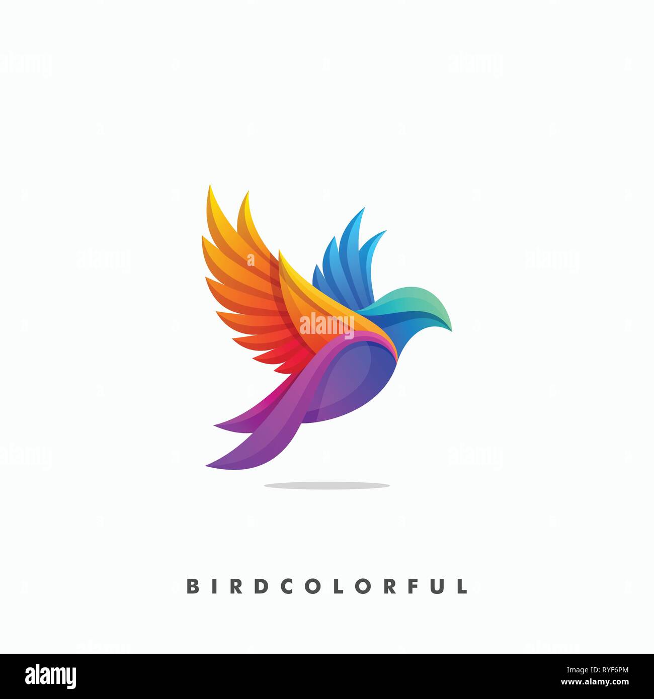 Bird Colorful Concept illustration vector Design template. Suitable for Creative Industry, Multimedia, entertainment, Educations, Shop, and any relate Stock Vector