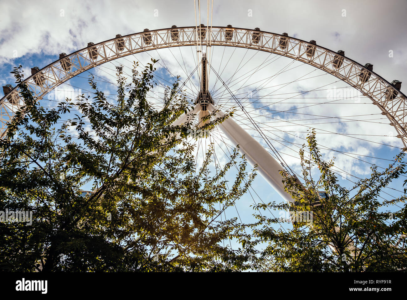 The famous London Eye on South Bank, London seen through the trees Stock Photo