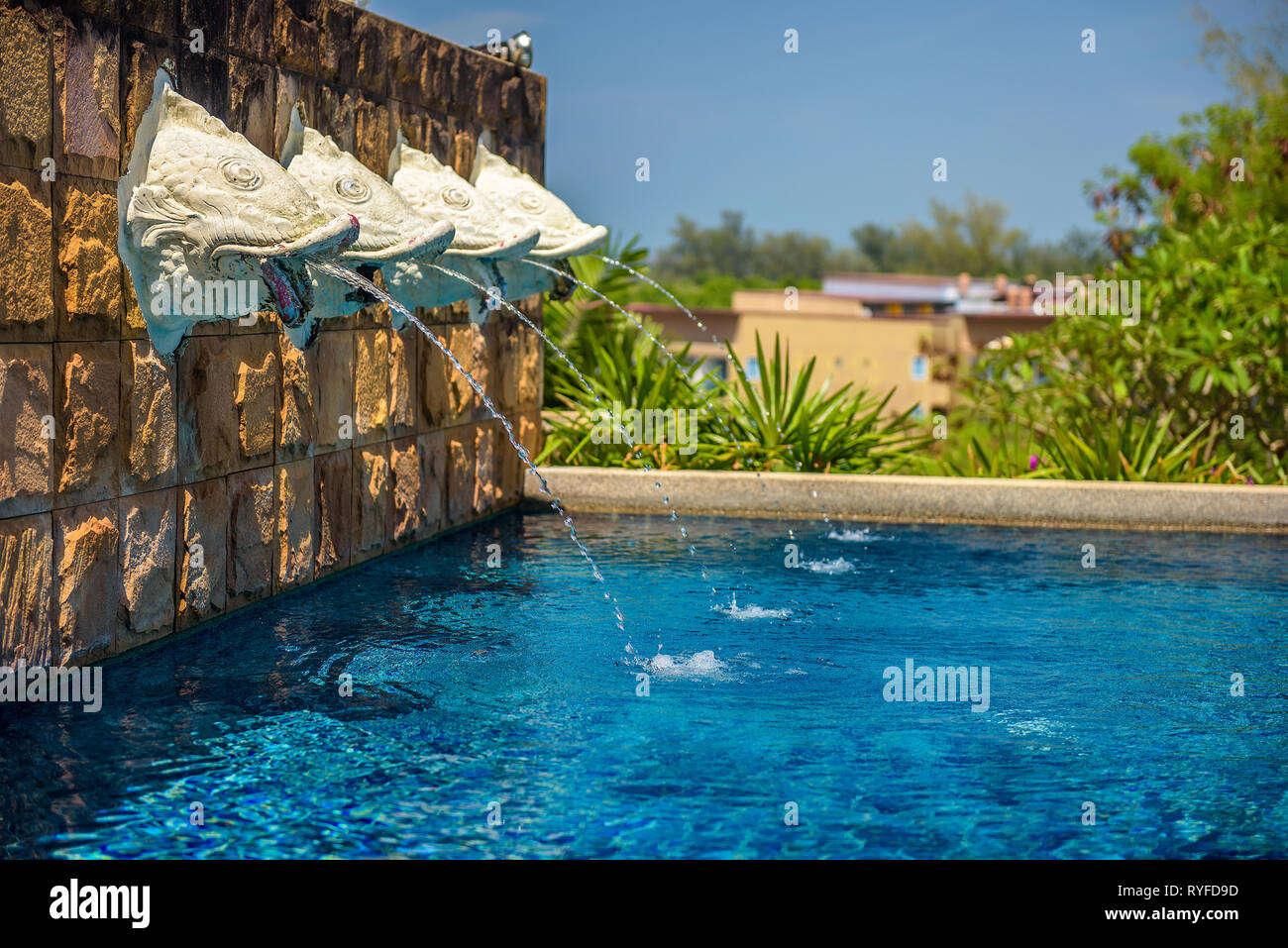 Fish head statues serving as fountains at a swimming pool in Thailand Stock Photo