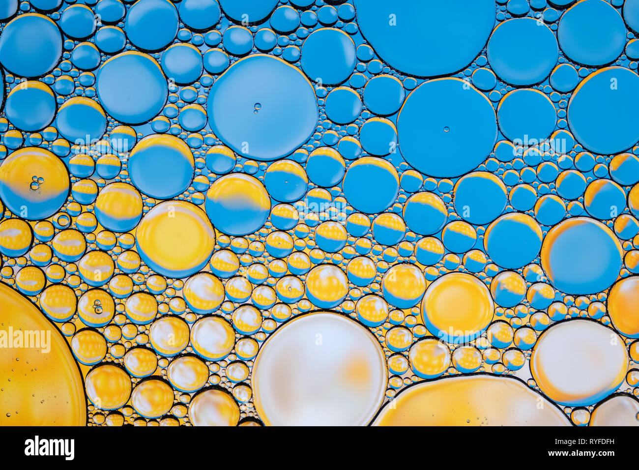 Bright water oil bubble abstract background. Natural backdrop. Stock Photo