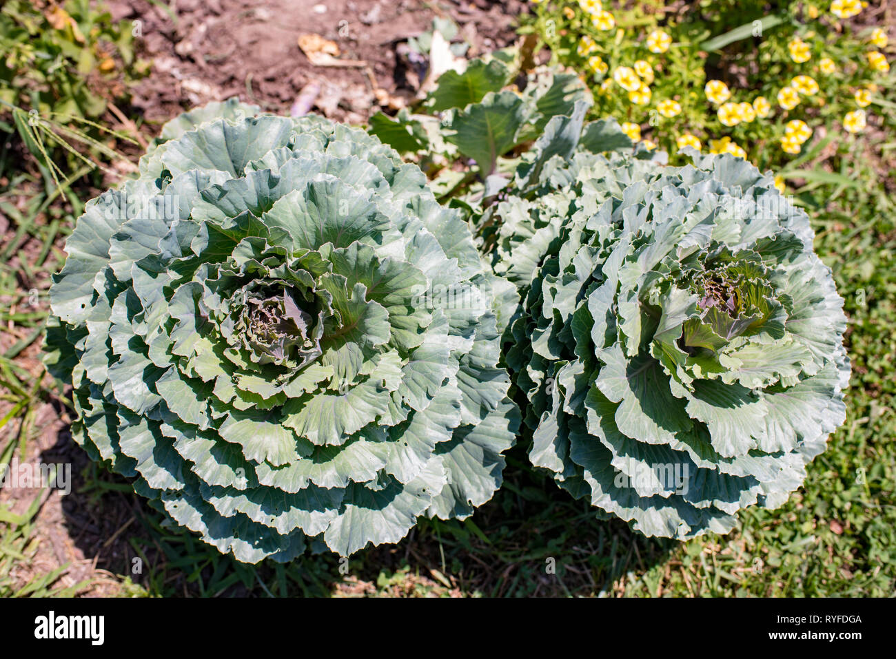 Equality house hires stock photography and images Alamy