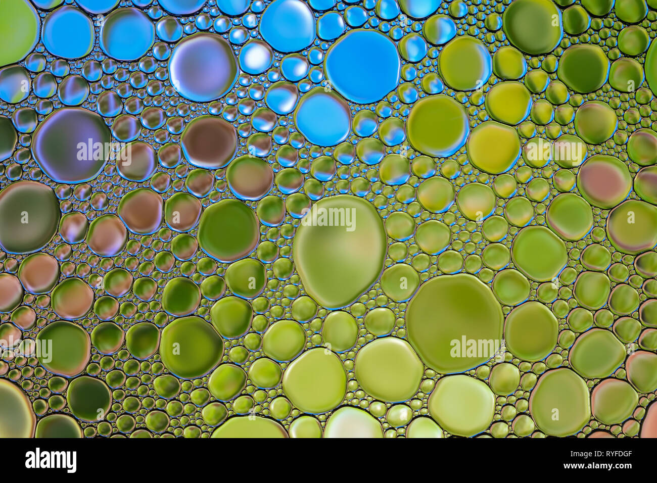 Beautiful abstract water oil bubble colorful background. Natural backdrop. Stock Photo