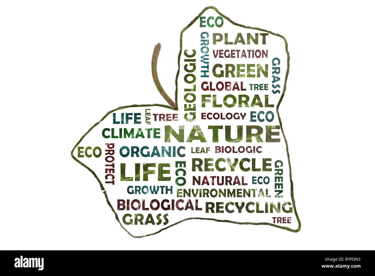 Photographically created tag cloud with key words such as nature, geology, ecology cut out of an ivy leaf Stock Photo