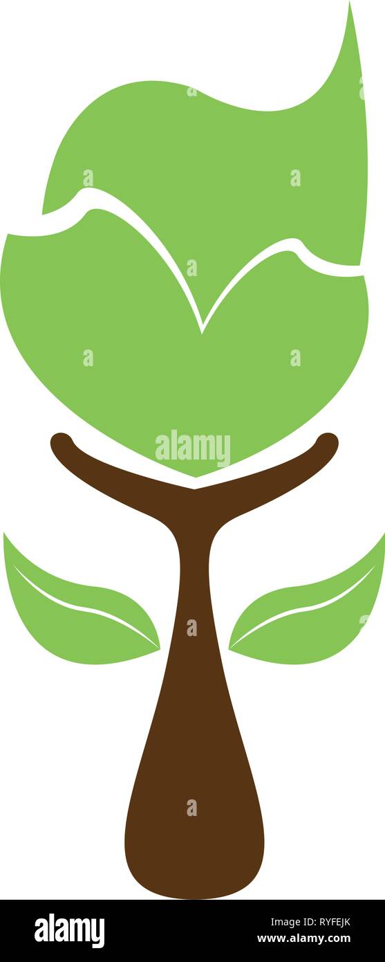 Isolated plant icon Stock Vector Image & Art - Alamy