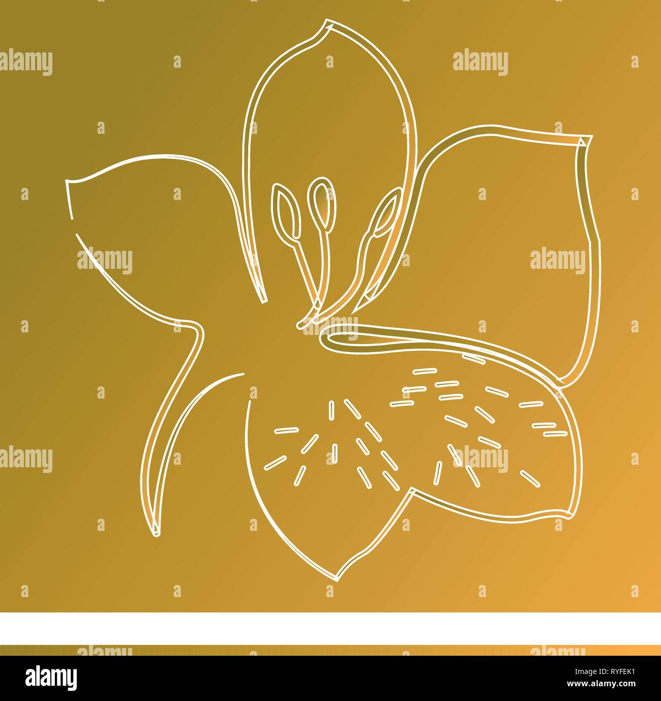 Isolated lotus flower icon Stock Vector Image & Art - Alamy