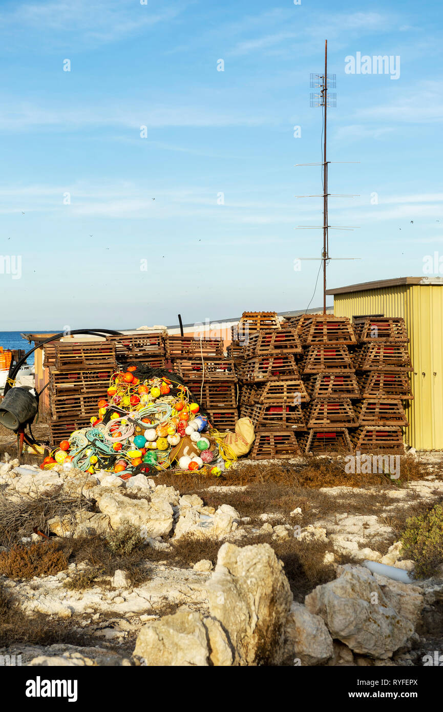 Big Rat Island, Houtman Abrolhos. The Houtman Abrolhos islands lie 60