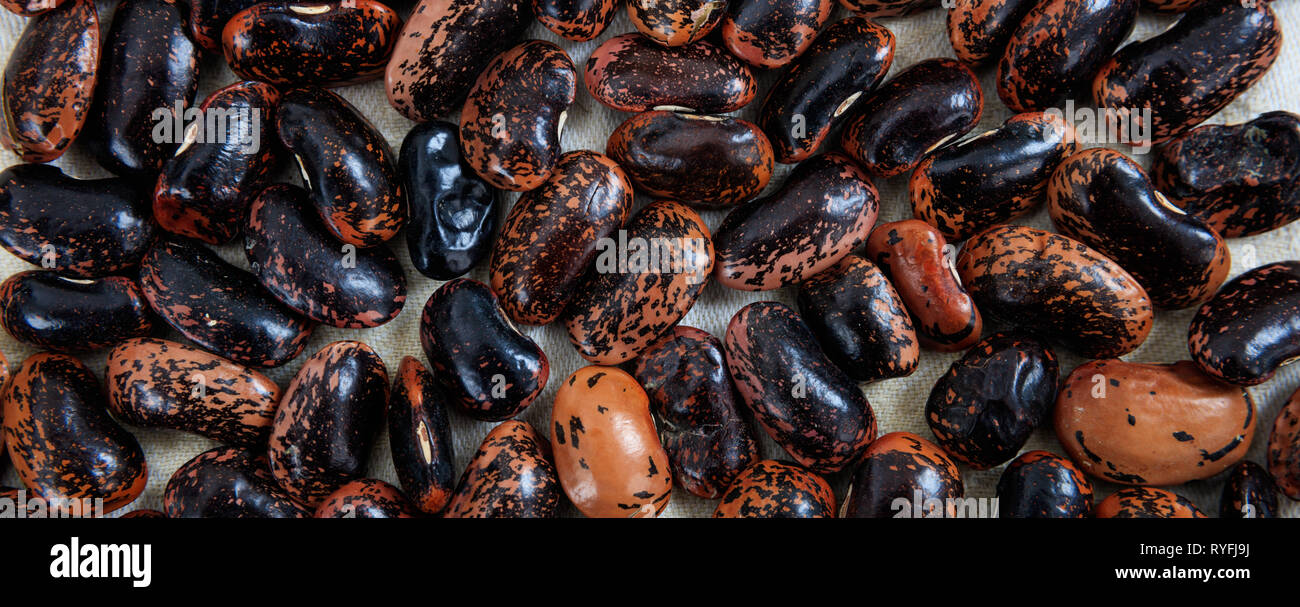 Black haricot beans. Black red color large beans uncooked full