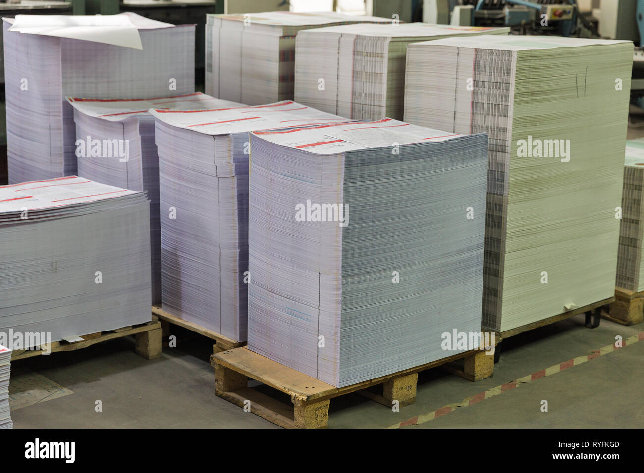 stacks of printed sheets of cardboard on wooden pallets closeup. printing industry Stock Photo