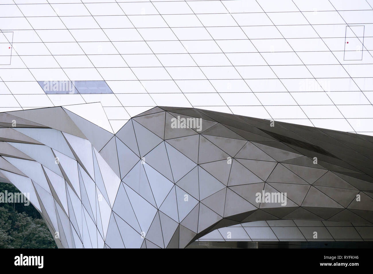 Detail of the facade of the contemporary Musée des Confluences in Lyon, Stock Photo