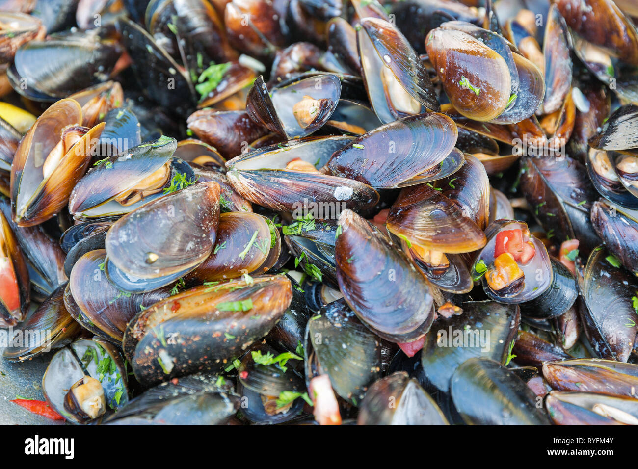 fresh cooked mussels closeup background Stock Photo Alamy