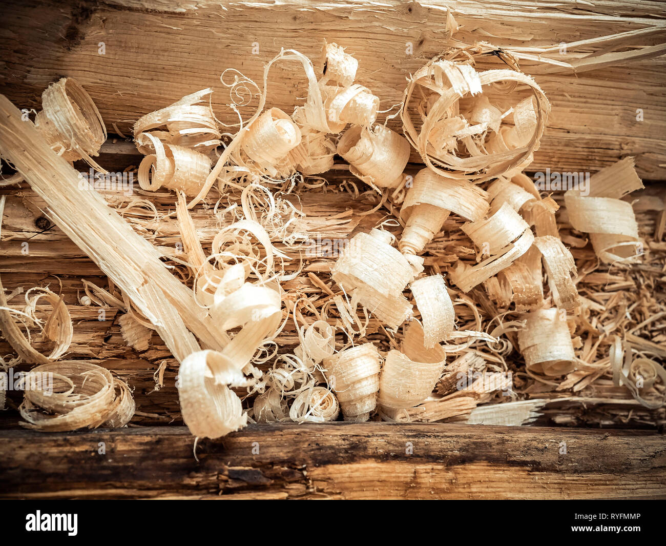 wooden shavings on a wood. Curly wood chips Stock Photo