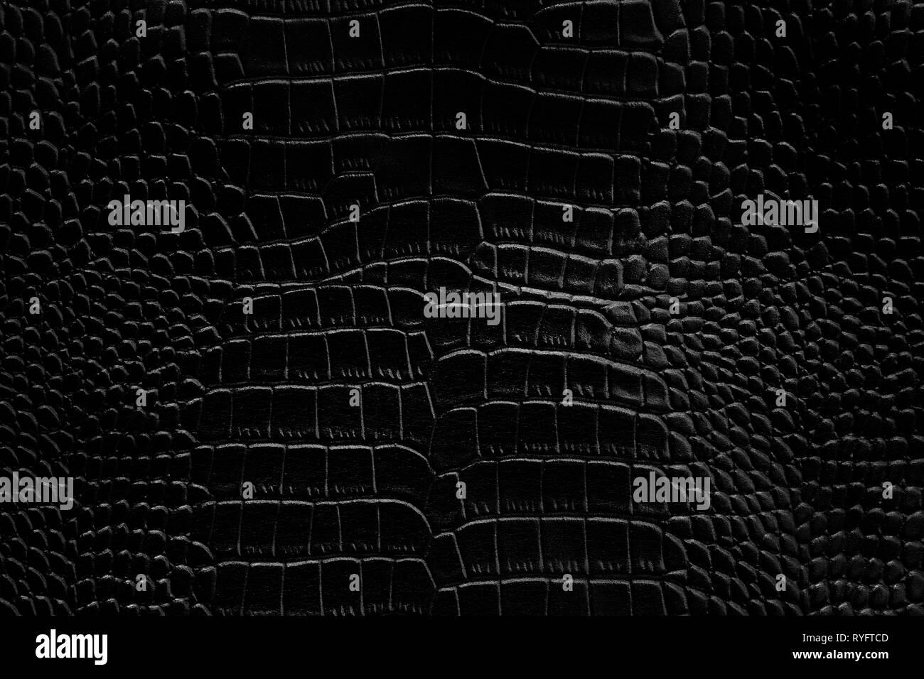 Black crocodile leather texture background Ready used us backdrop or  products design Stock Photo