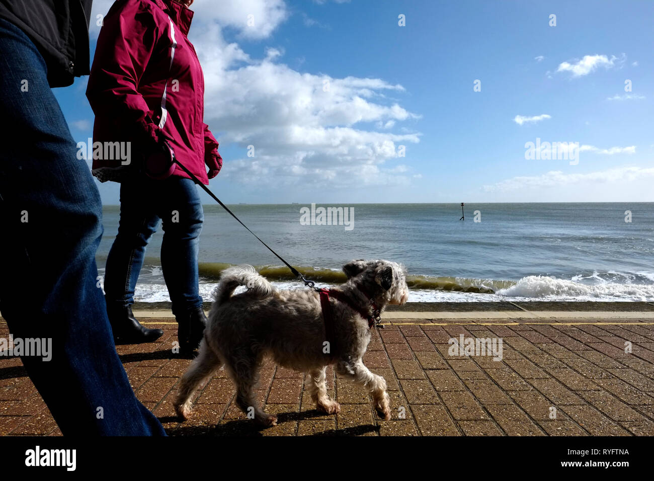 Walking the dog along the seafront at Shanklin beach on the Isle of