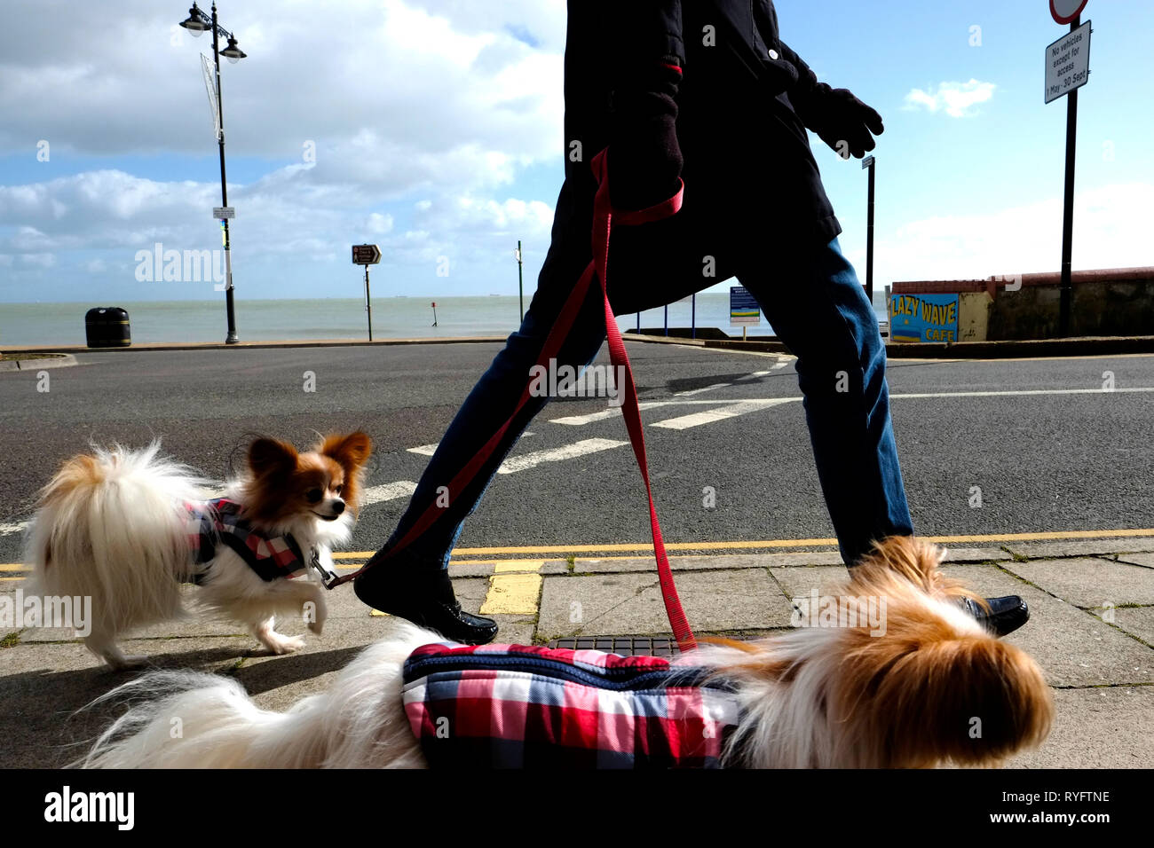 Pavement pounding hires stock photography and images Alamy