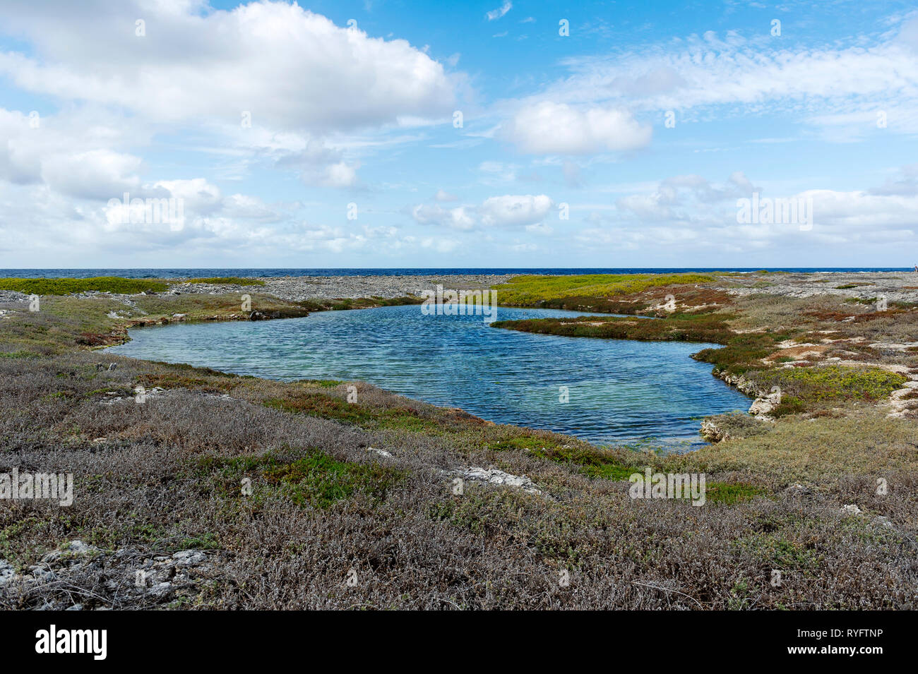 Wooded Island in the Easter Group of the Houtman Abrolhos. The Houtman Abrolhos islands lie 60 kilometres off the coast of Geraldton in Western Austra Stock Photo