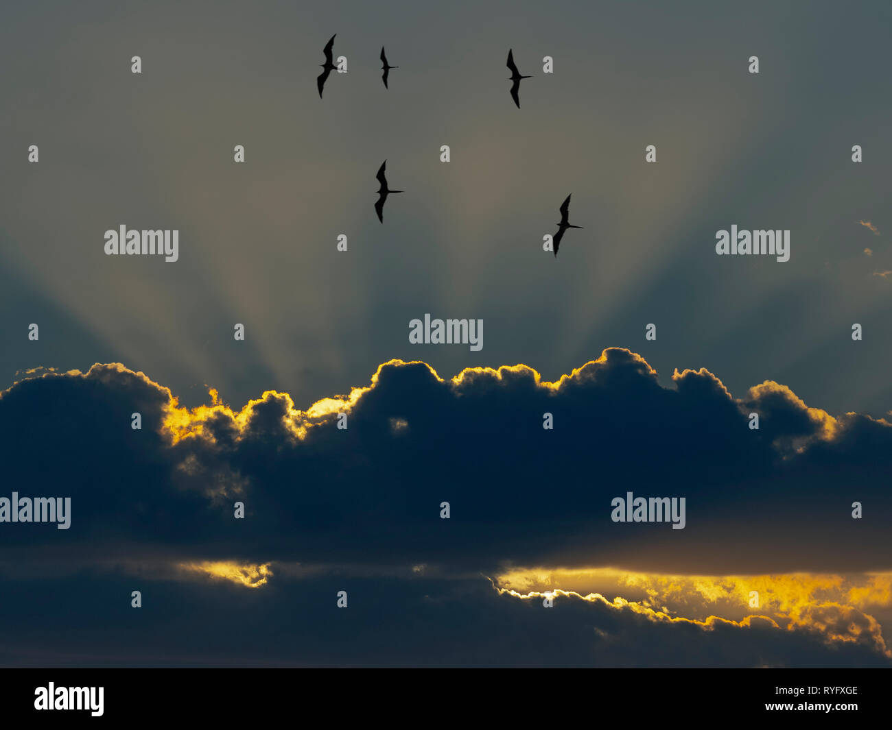 Golfo de Nicoya Costa Rica Stock Photo Alamy