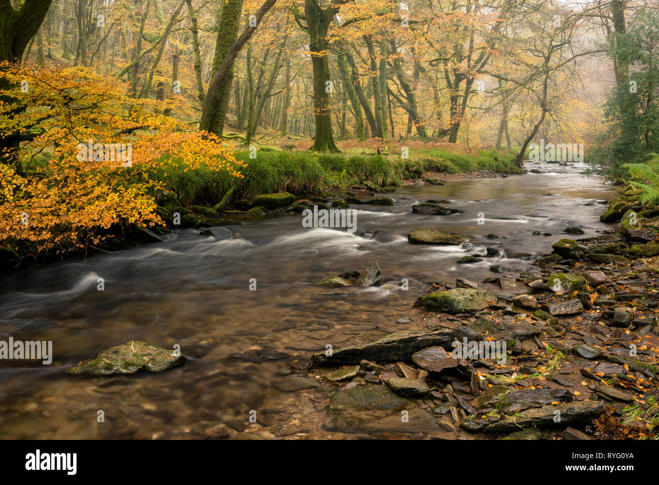 Danes brook hi-res stock photography and images - Alamy