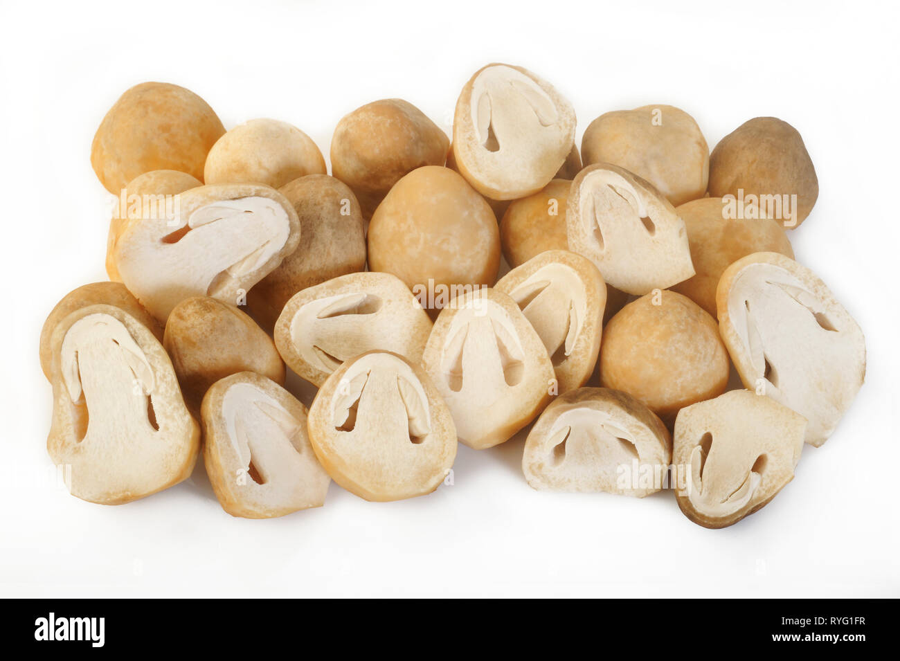 https://c8.alamy.com/comp/RYG1FR/straw-mushroom-isolated-on-white-background-RYG1FR.jpg