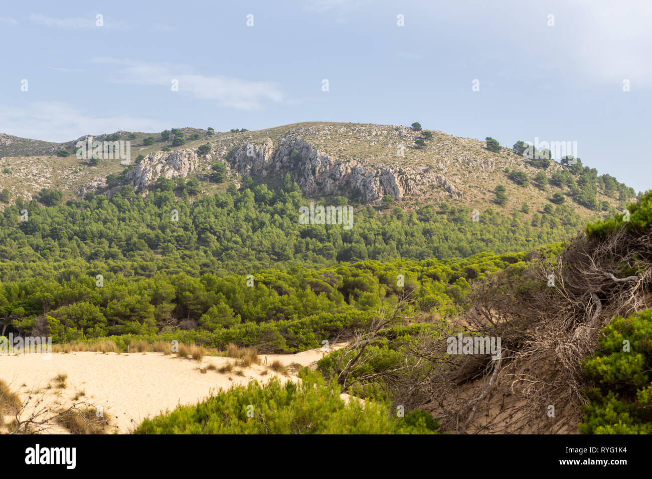 Wonderful dune landscape Cala Mesquida Mallorca Spain Stock Photo - Alamy