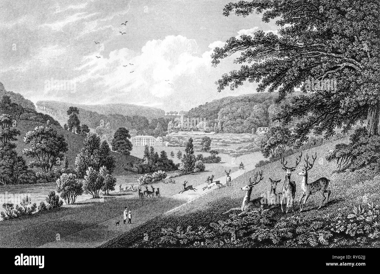 Engraving of Spring Park Mansion, Woodchester, Gloucestershire UK scanned at high resolution from a book published in 1825.  Believed copyright free. Stock Photo