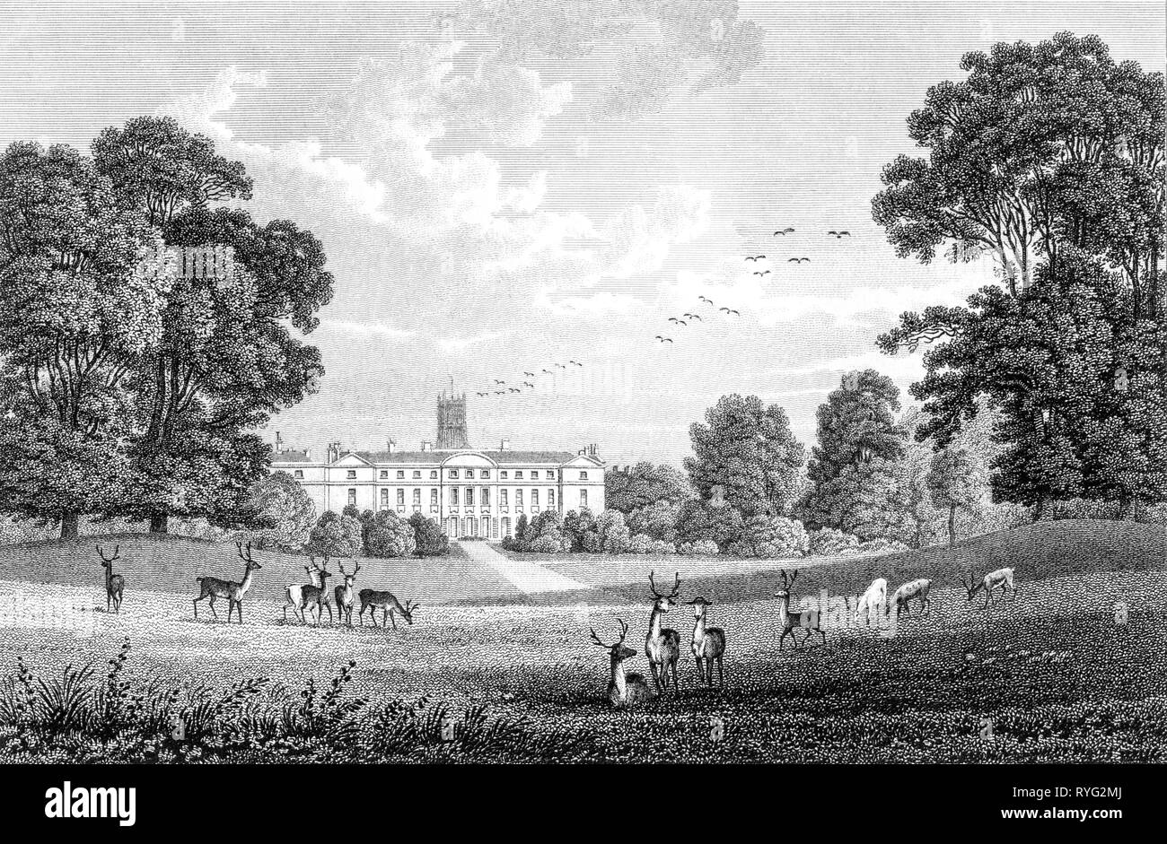 Engraving of Oakley House the Seat of Henry Bathurst, (now Cirencester Park), Gloucestershire UK scanned at high resolution from a book of 1825. Stock Photo