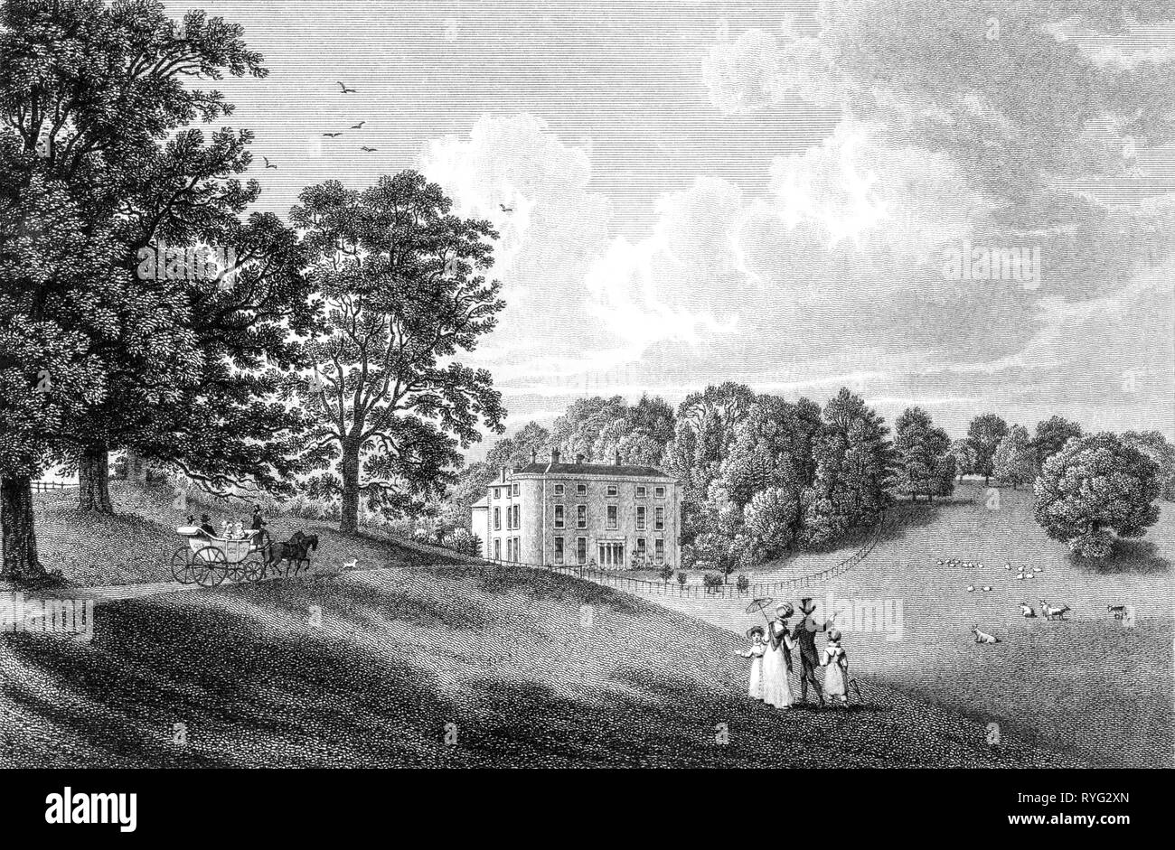 An engraving of Cerney House the Seat of William Croome, North Cerney, Gloucestershire UK scanned at high resolution from a book published in 1825. Stock Photo