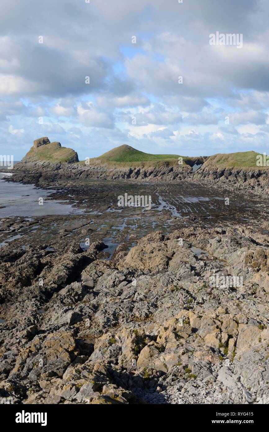 Worm's head at low tide viewed from the Inner Head, with wave cut platform, 'Devil's Bridge' rock archway and Outer Head visible, Rhossili, The Gower  Stock Photo