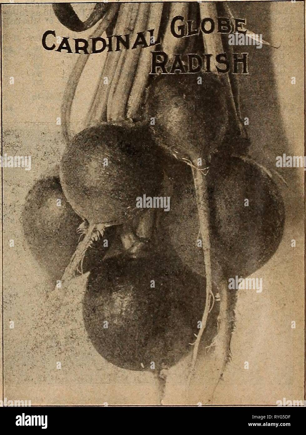 alamy