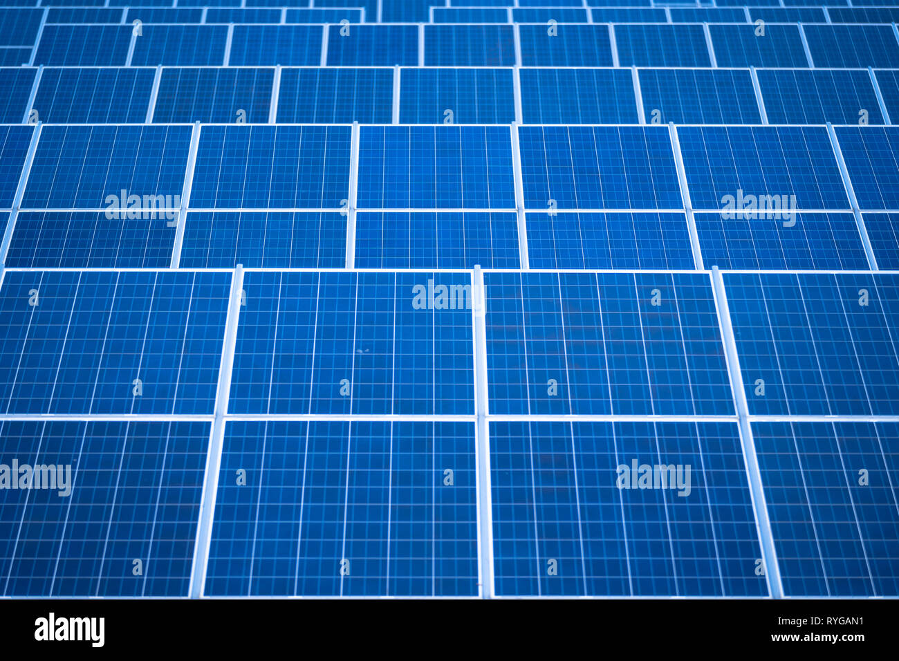 Solar panels in a row, solar panels grid, close up. photovoltaic system Stock Photo Alamy