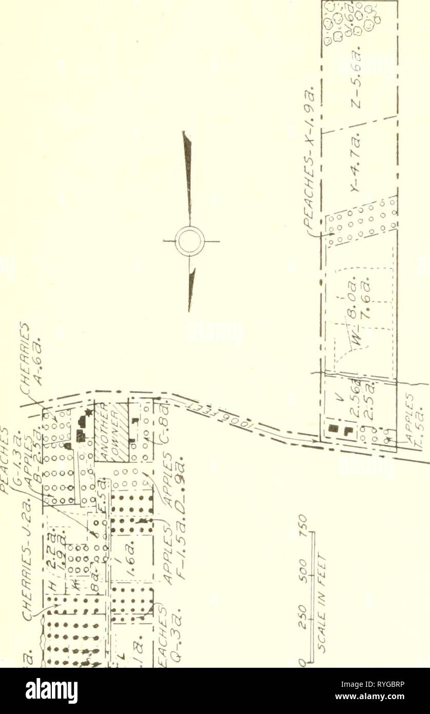 An economic study of farm layout .. . Fig. 100. a farm plan with