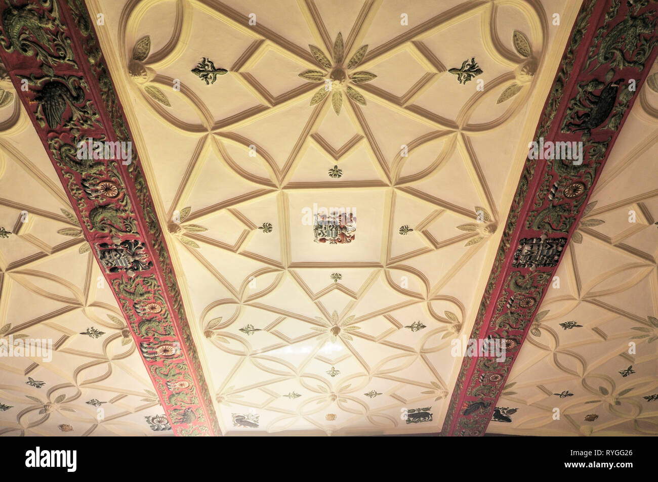 Decorative ceiling Stock Photo