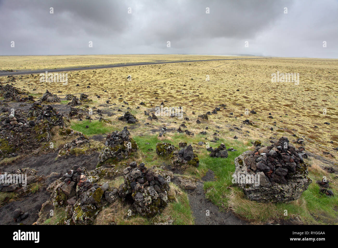 Icelandic moss covers volcanic rock Stock Photo