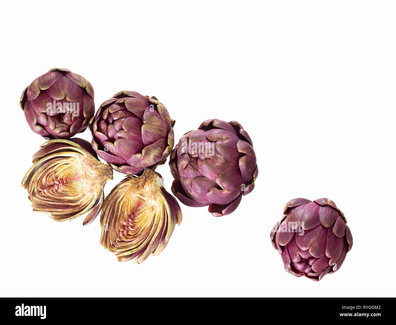 Raw artichokes, Mediterranean vegetable, uncooked and cut open, isolated on white. Stock Photo