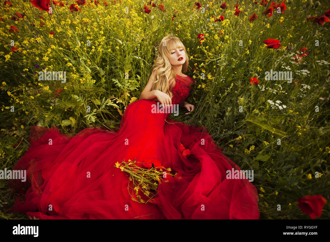 beautiful girl in a red dress walks through a field of poppies Stock ...