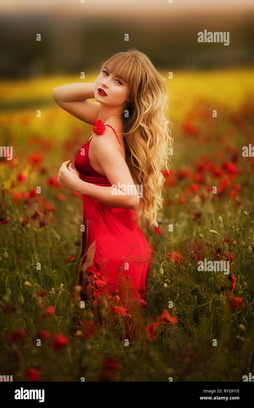 beautiful girl in a red dress walks through a field of poppies Stock ...