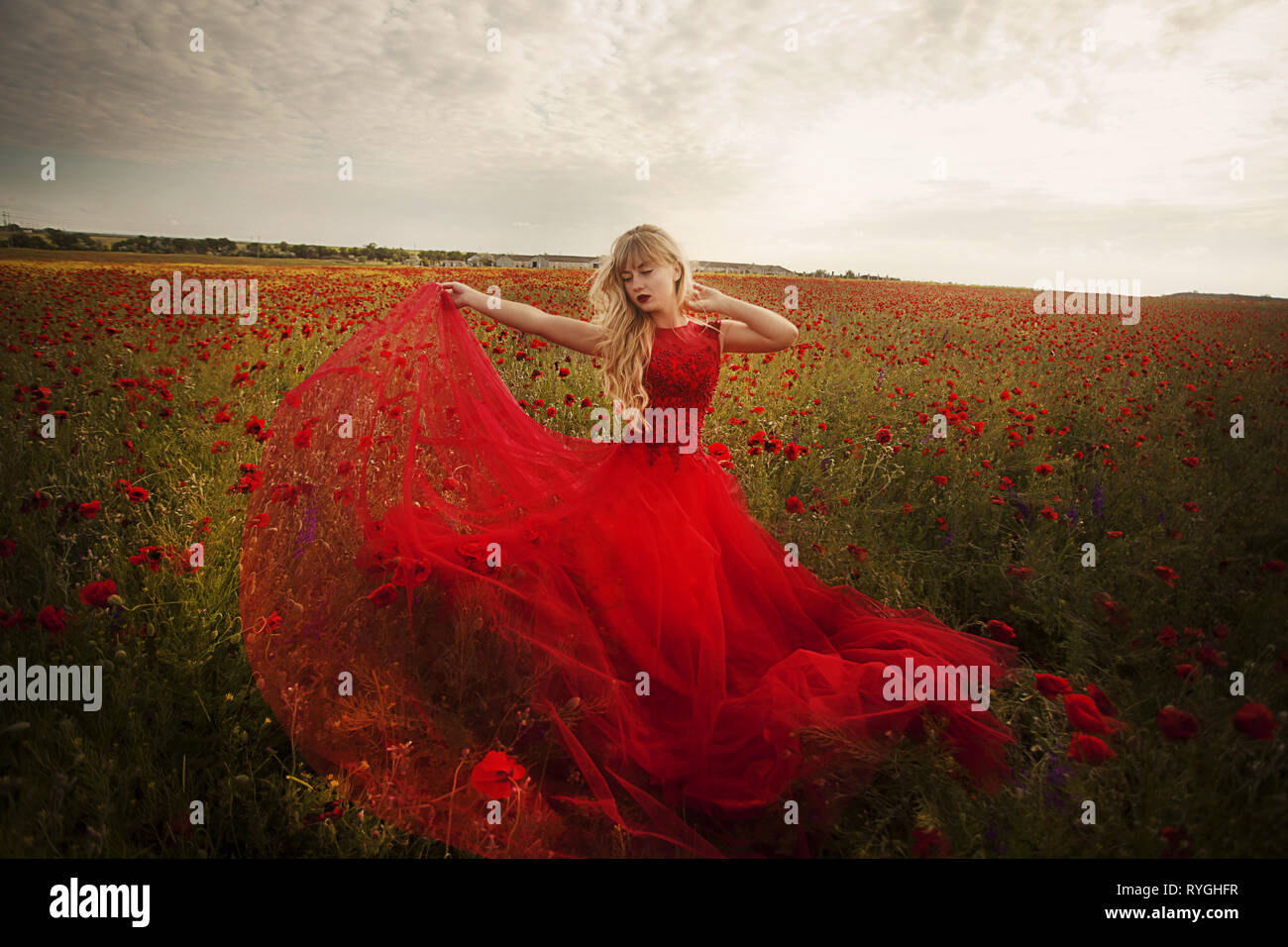beautiful girl in a red dress walks through a field of poppies Stock ...