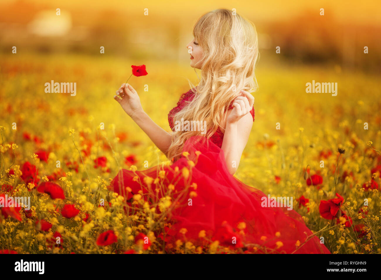 beautiful girl in a red dress walks through a field of poppies Stock ...