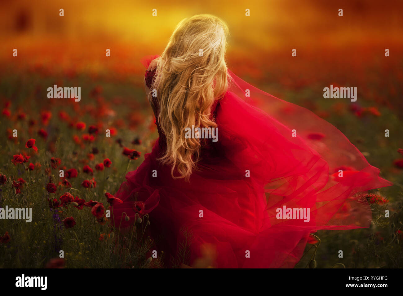 beautiful girl in a red dress walks through a field of poppies Stock ...
