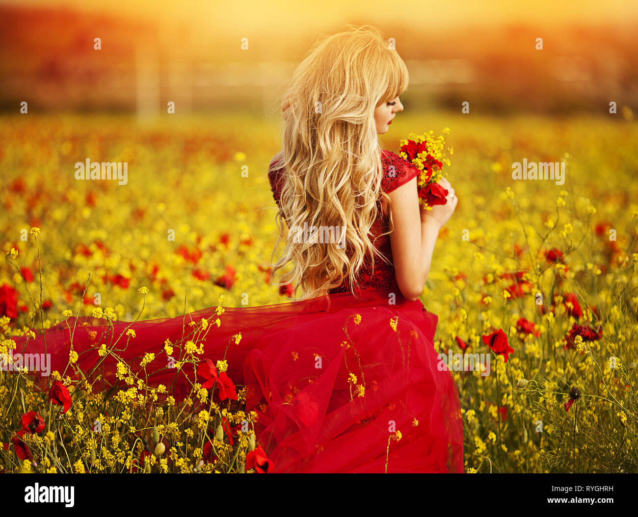 beautiful girl in a red dress walks through a field of poppies Stock ...