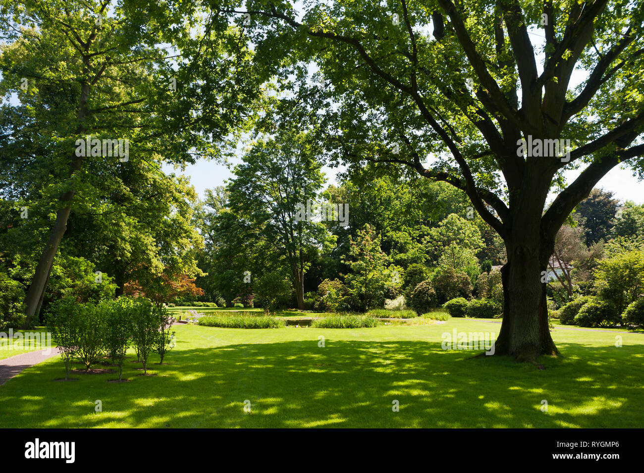 Trees around pond hires stock photography and images Alamy
