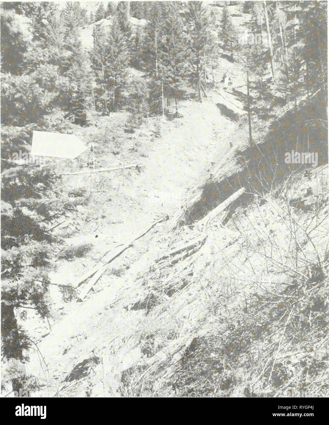 Effect of logging roads on sediment production rates in the Idaho Batholith  effectofloggingr123mega Year: 1972  Figure 5.—The debris avalanche scoured the bottom of Watershed 3 to bedrock. The slide obliterated the sedi- ment dam (formerly in the channel bottom) and splashed mud on top of the storage rain gage tower (see arrow).    water contents. Debris avalanches usually leave a discernible elongated scar to bedrock at the slide origin and often exhibit a characteristic downslope slide path. The lower jammer road in Watershed 3 was constructed through the old slide area without taking speci Stock Photo