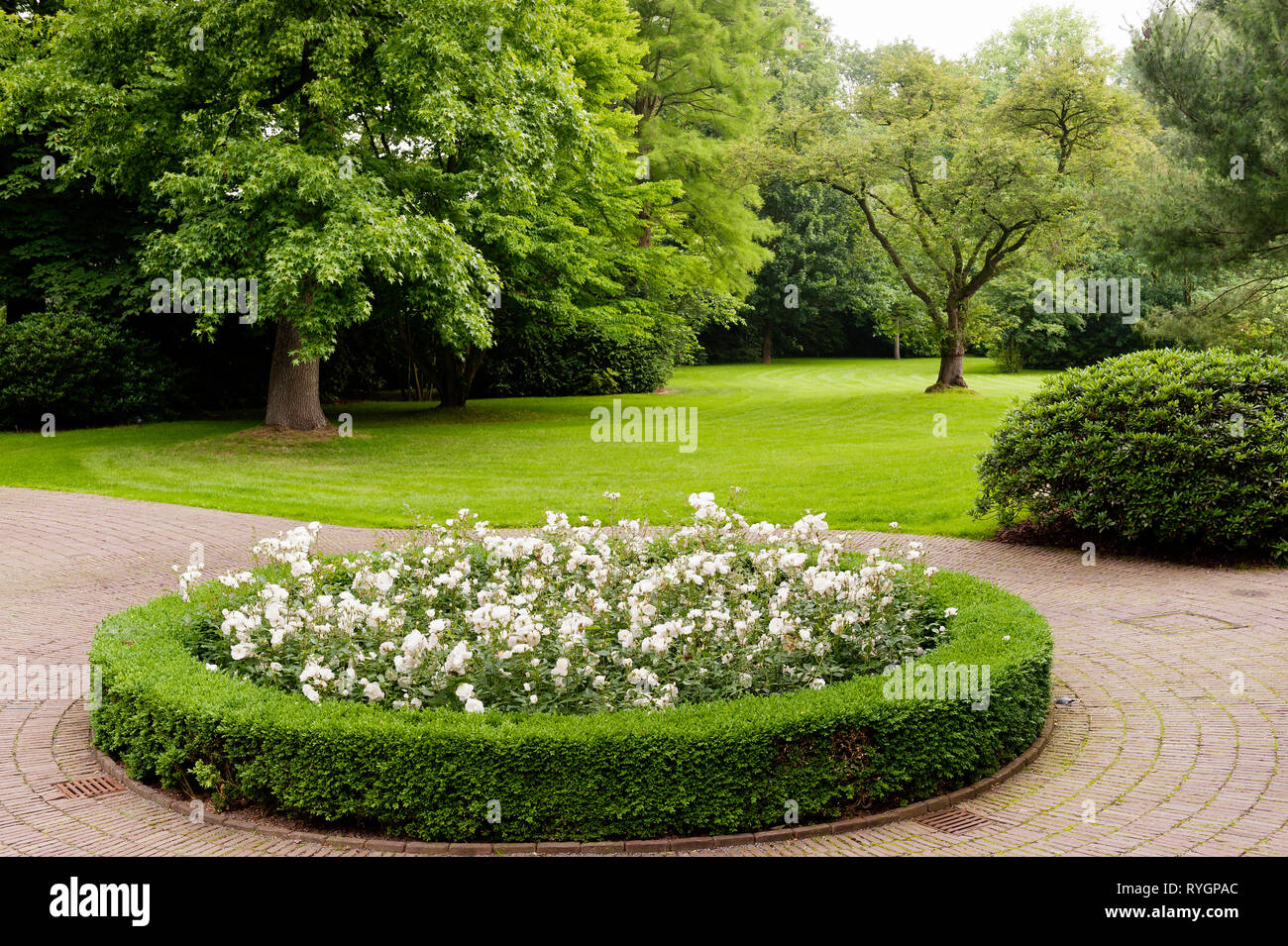 Circular flower bed Stock Photo