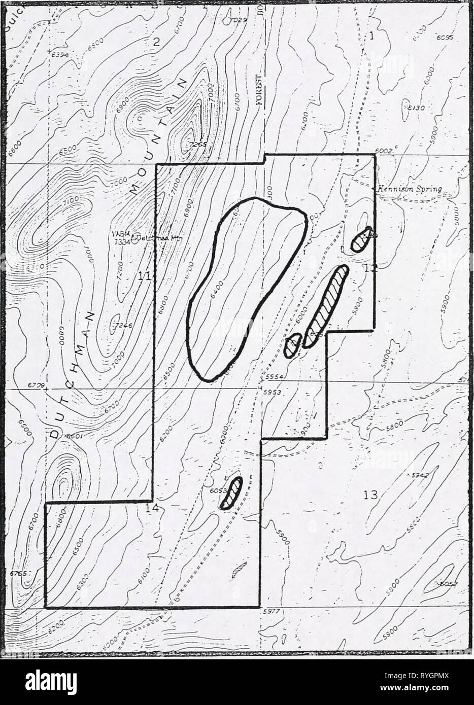 Survey for sensitive plant species on Dutchman Mountain, Beaverhead County,   dutchmansensiti00vandrich Year: 1994    Eriogonum ovalifolium var. nevadense USGS Argenta Quad, 7.5' Stock Photo