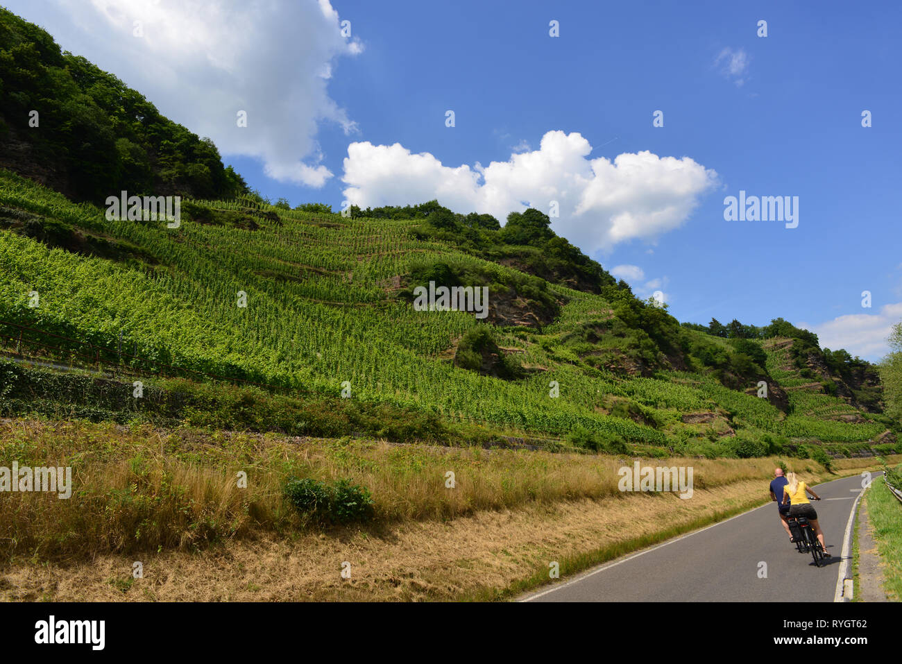 Bicycle tourists, traveling along the Mosel river valley, Germany Stock Photo