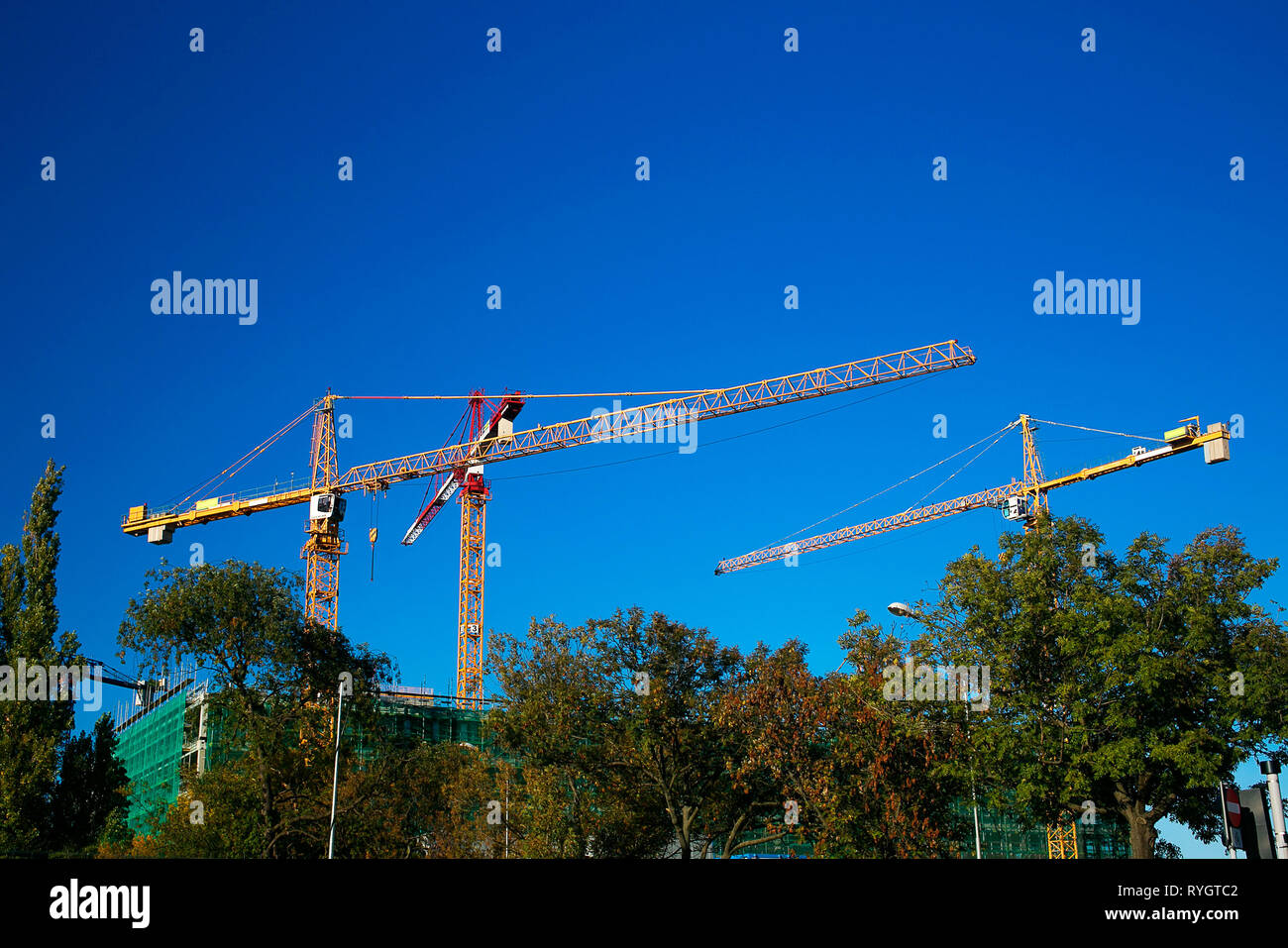 Three cranes towering over trees and constructed building with a blue bright sky as a background Stock Photo