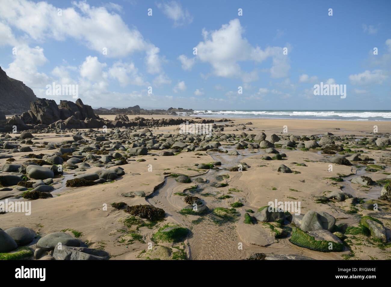 Freshwater stream flowing across Duckpool Beach at low tide, near Bude, Cornwall, UK, September 2018. Stock Photo