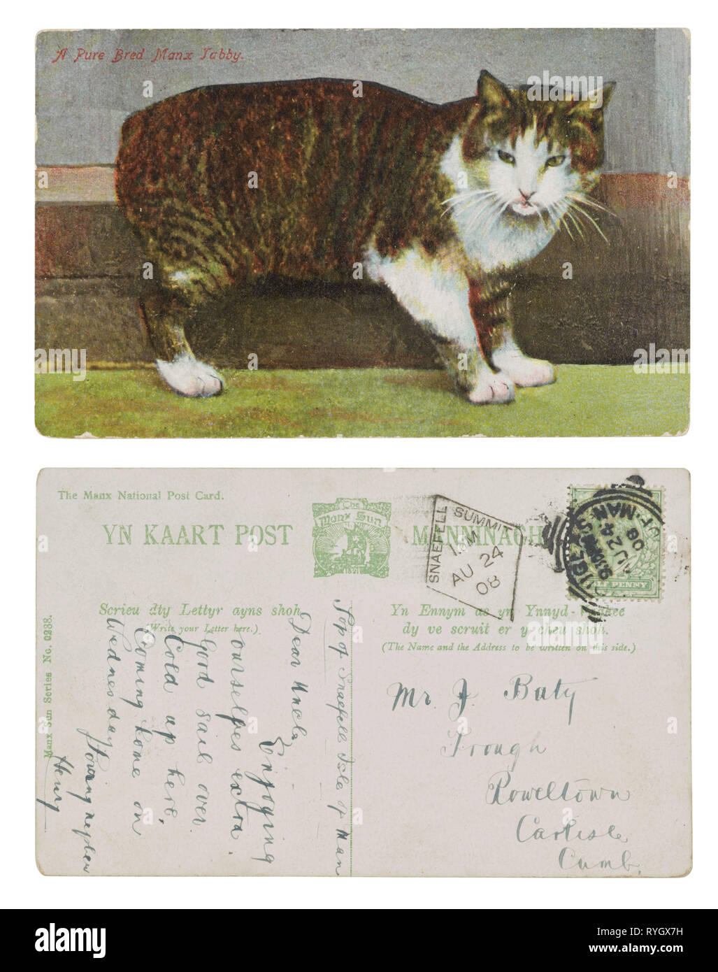 A pure bred manx cat postcard sent from Snaefell summit in 1908 to Rowelton, Carlisle from nephew Henry Stock Photo
